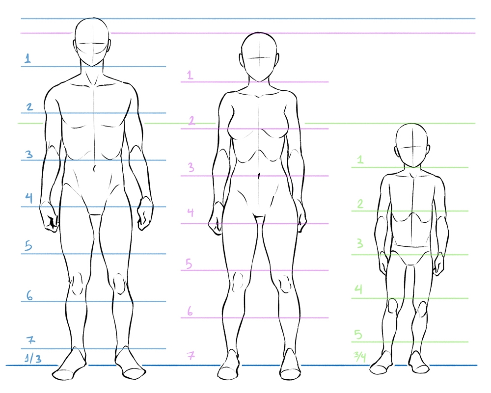 Learn Anatomy To Improve Drawing The Human Body Art Rocket