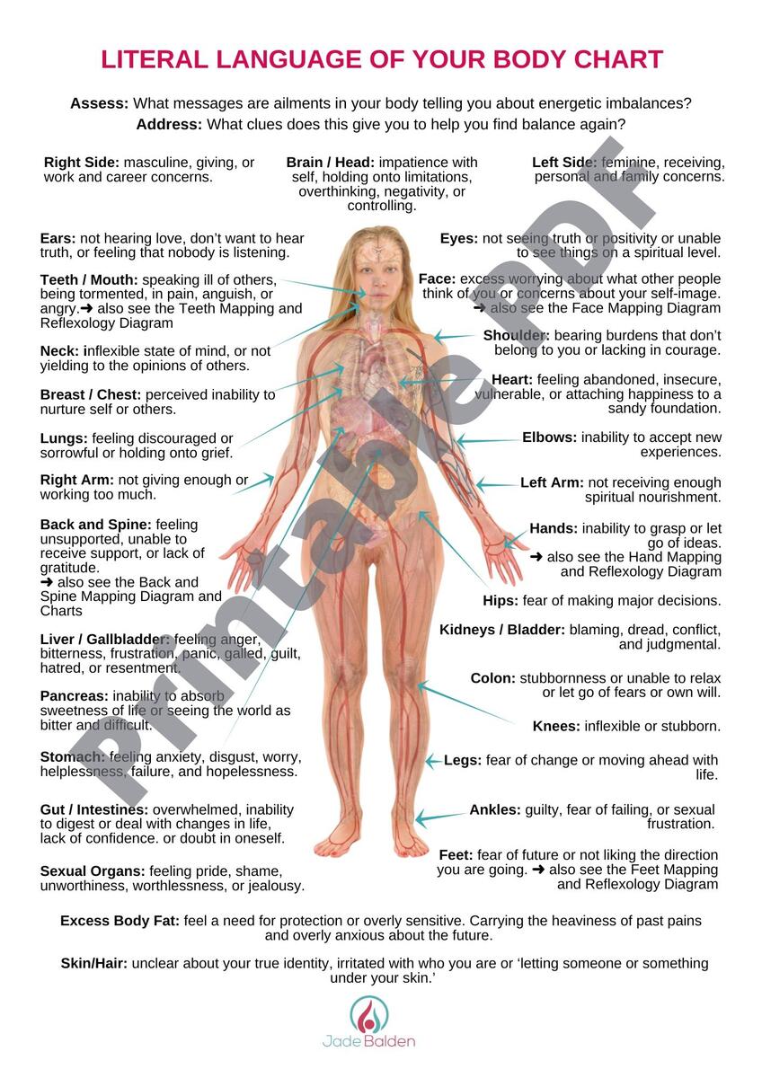 Literal Language Of The Body Chart PDF Printable Etsy