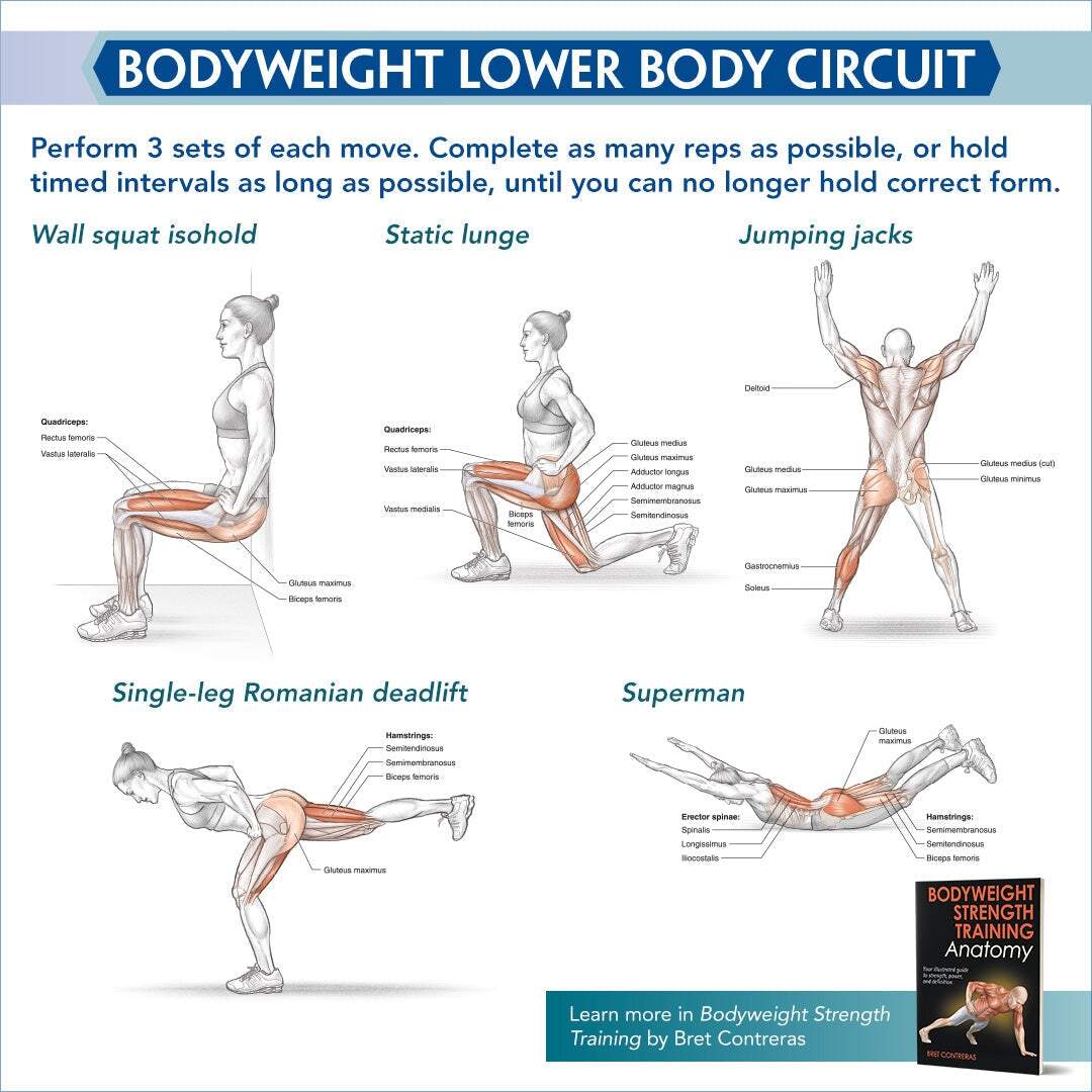 Lower Body Weight Lifting Workout Lower Body Weight Leg Workout Routines Workout Chart Full Leg Lower Body Weight Lifting Workout Lower Body Weight Leg Workout Routines Workout Chart Full Leg