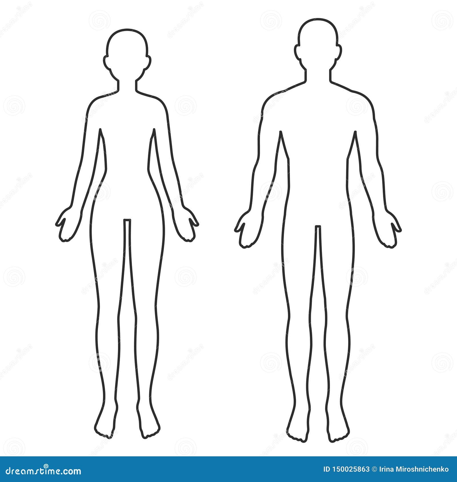 Male And Female Body Outline Stock Vector Illustration Of Infographic Clip 150025863 Male And Female Body Outline Stock Vector Illustration Of Infographic Clip 150025863