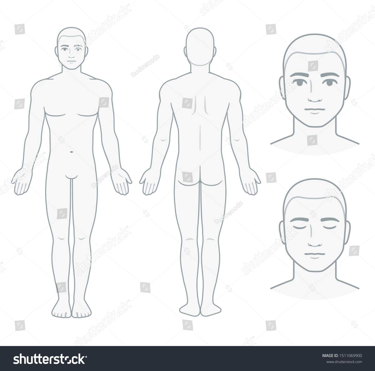 Male Body Face Chart Front Back Stock Illustration 1511069900 Shutterstock