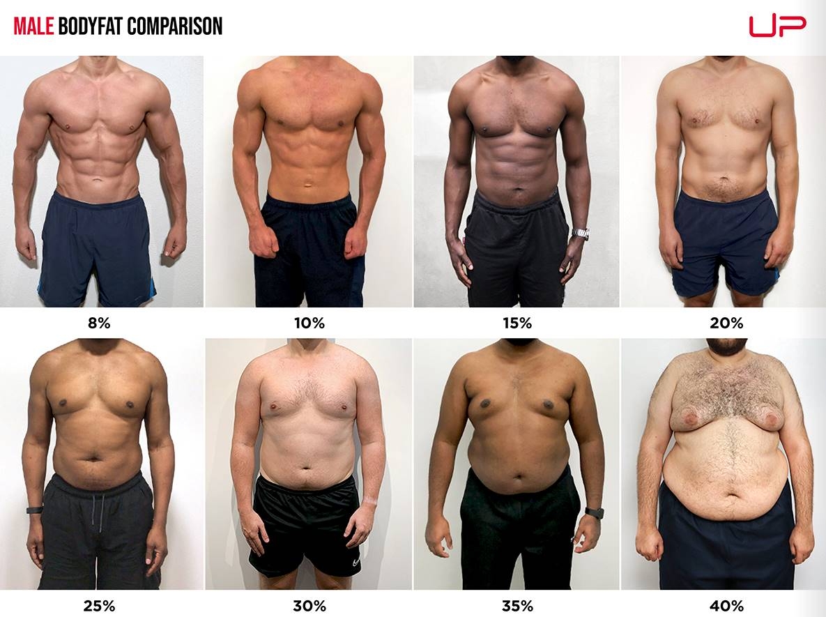 Male Body Fat Percentage Comparison Visual Guide Ultimate Performance