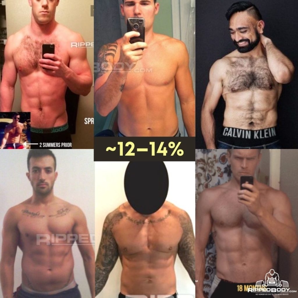 Male Body Fat Percentage Pictures Compare Your Body Fat Level Male Body Fat Percentage Pictures Compare Your Body Fat Level