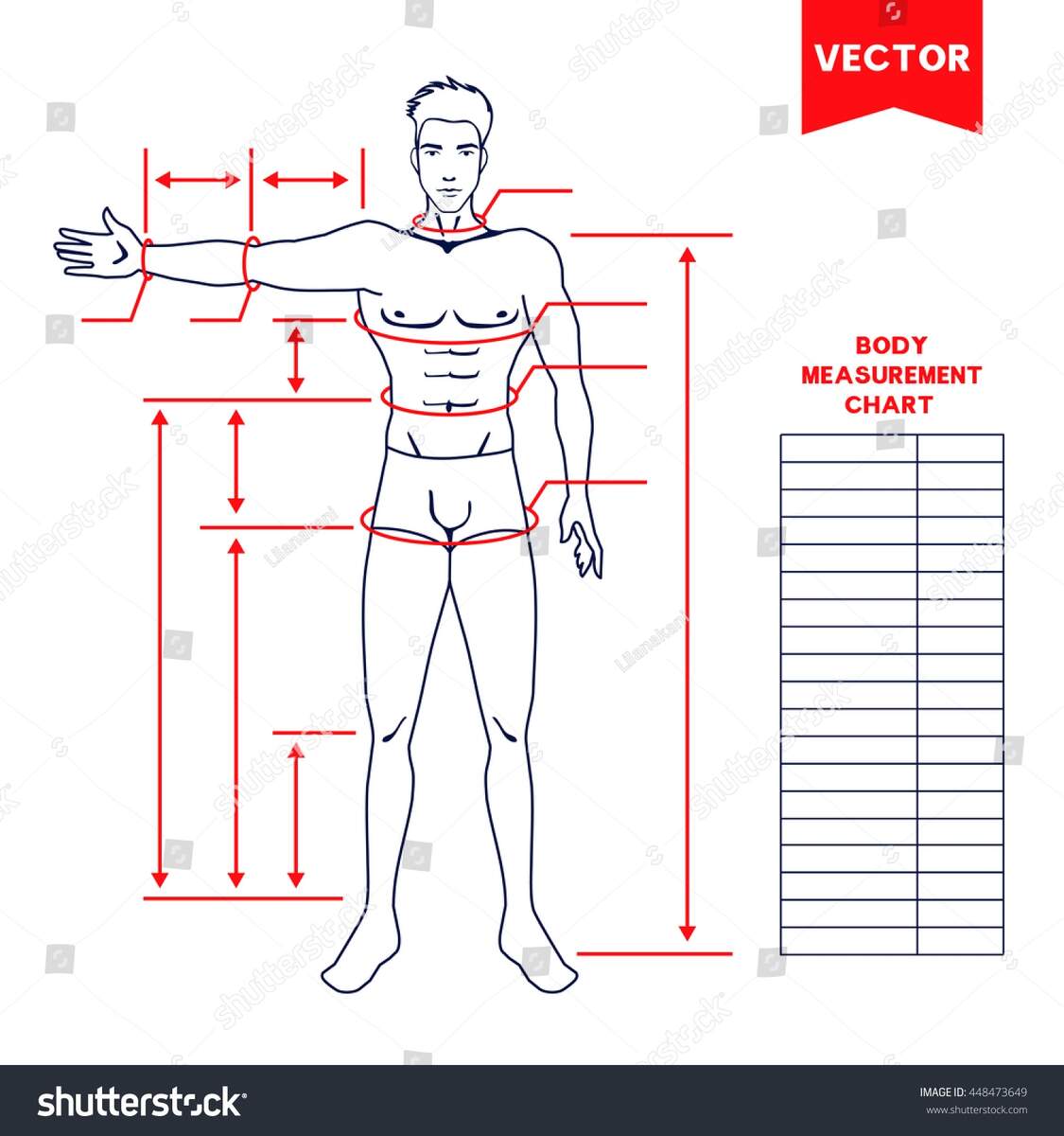 Male Body Measurement Chart Scheme Measurement Stock Vector Royalty Free 448473649 Shutterstock