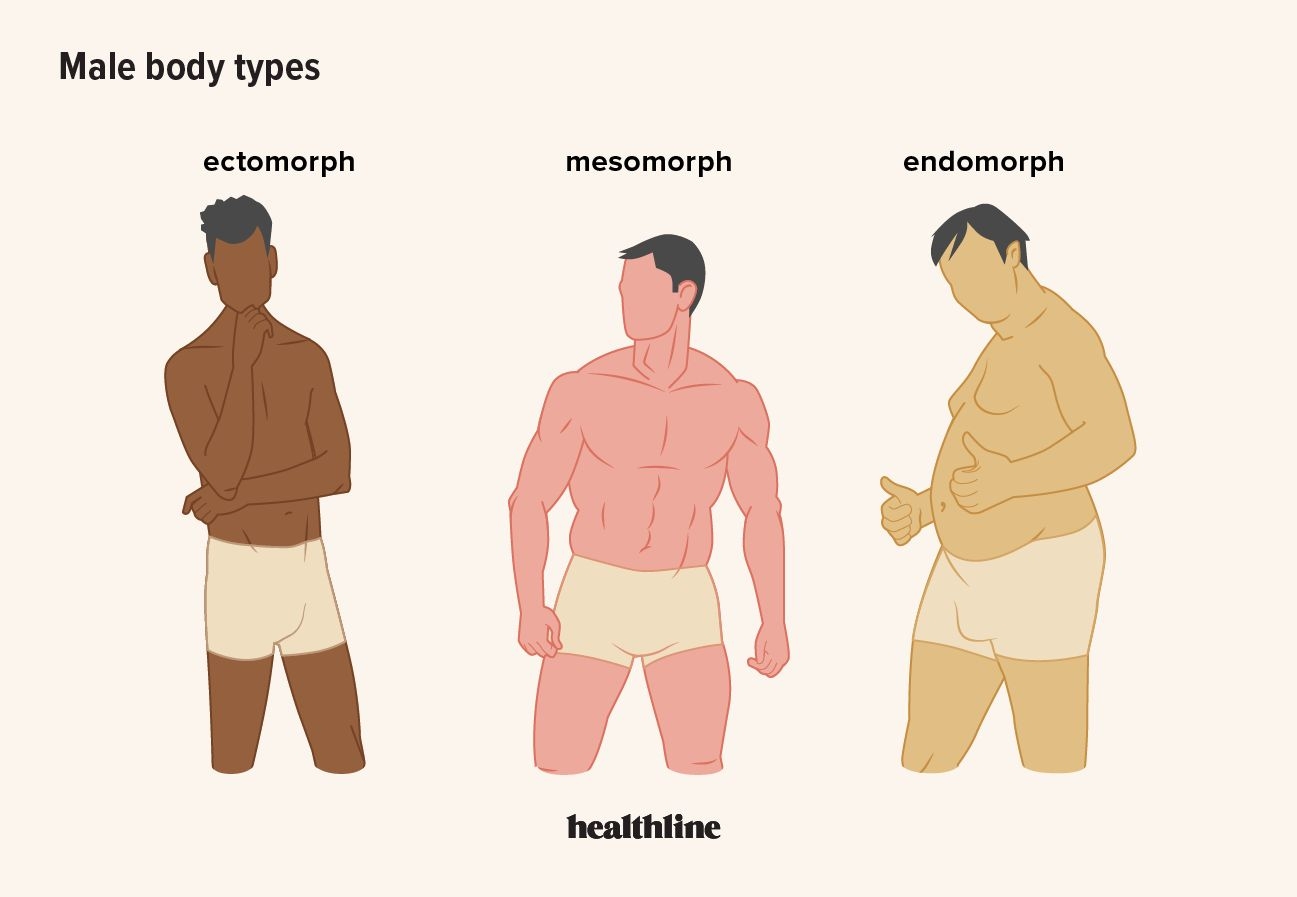 Male Body Types Definitions And What They May Mean