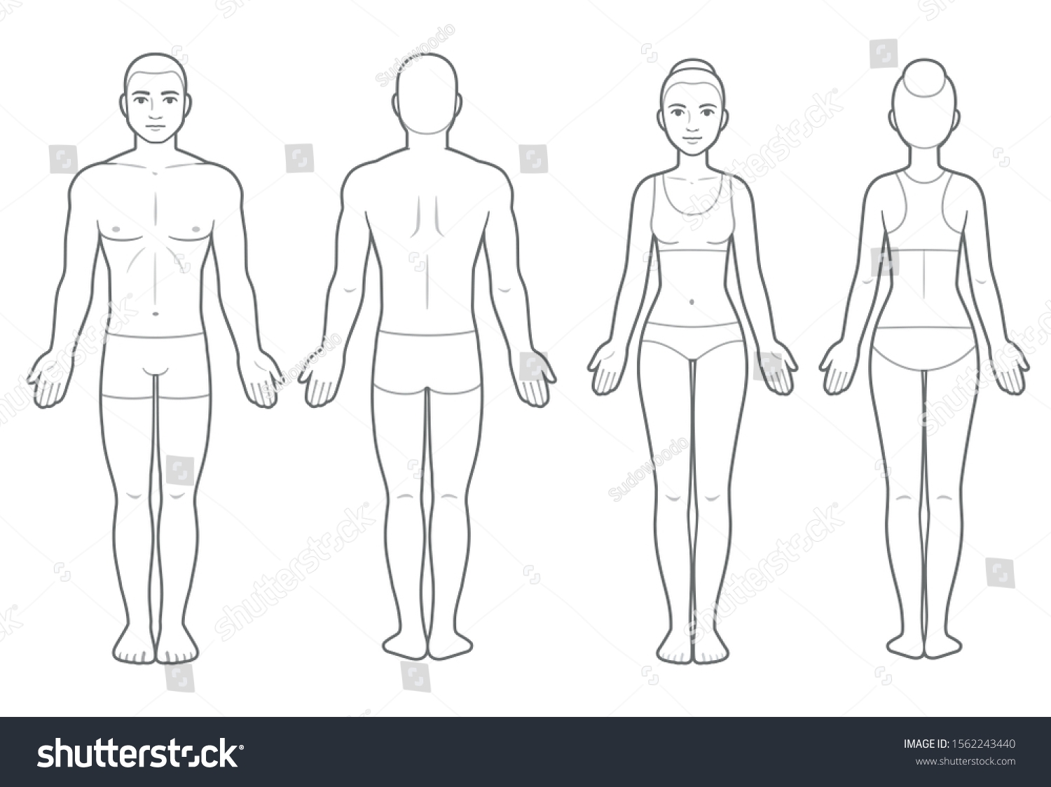Male Female Body Chart Front Back Stock Illustration 1562243440 Shutterstock