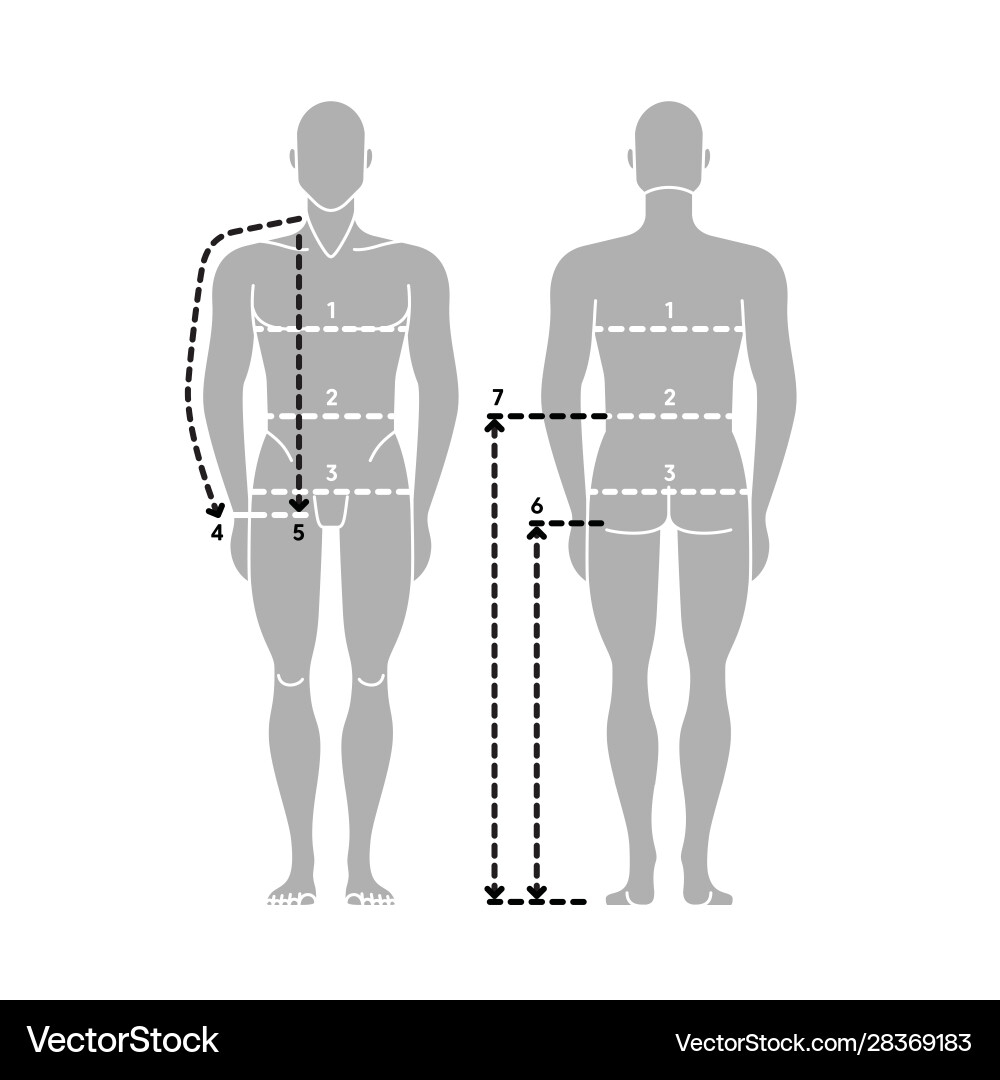 Man Body Measurement Chart Taking Royalty Free Vector VectorStock