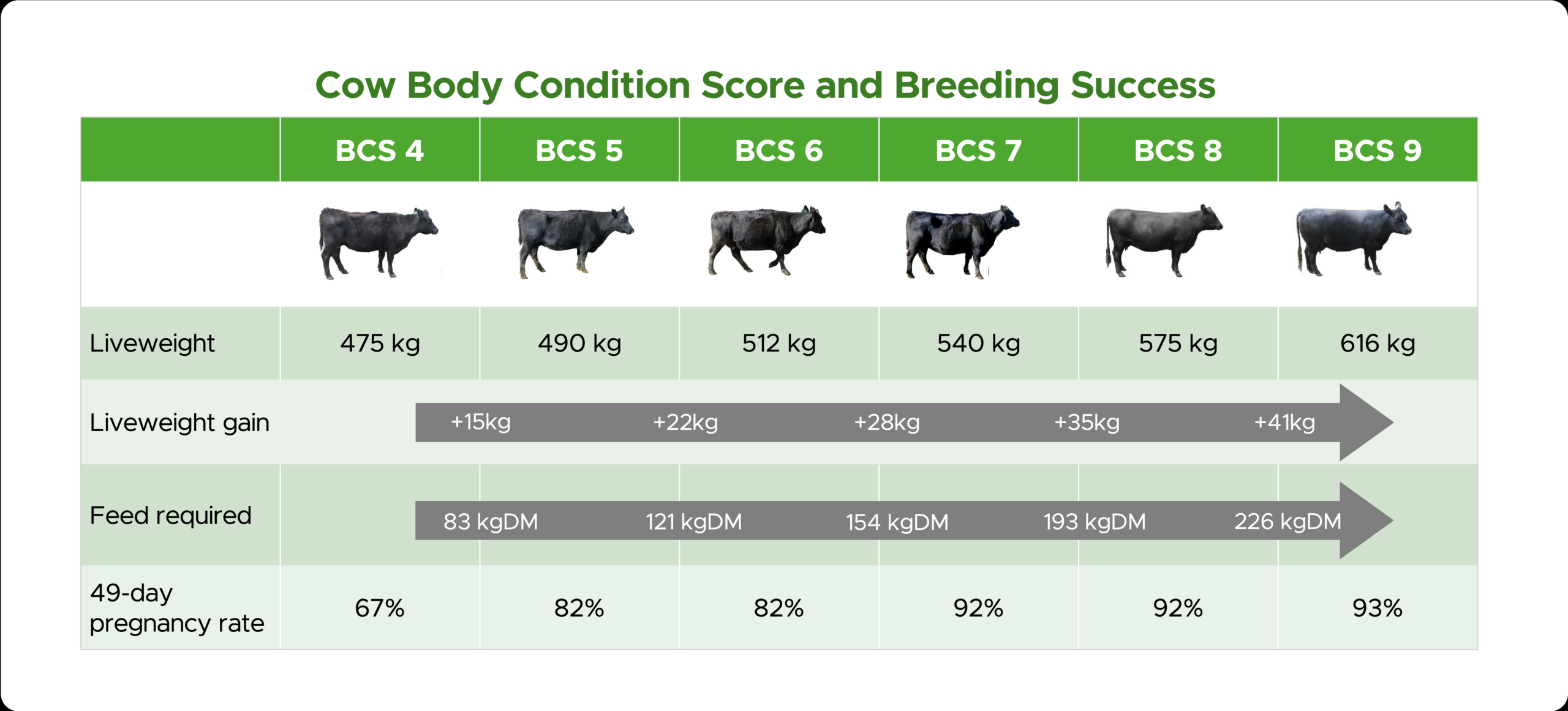 Managing Cow BCS For Breeding Success Beef Progeny Test Results B LNZ Genetics Managing Cow BCS For Breeding Success Beef Progeny Test Results B LNZ Genetics