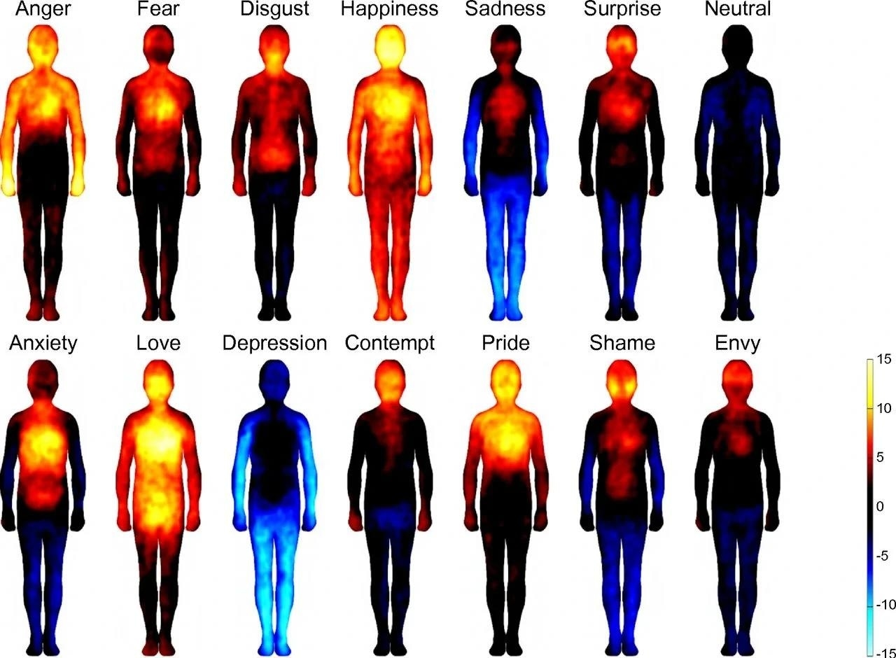 Mapping Emotions In The Body Study Reveals Physical Topography Of Feelings Mapping Emotions In The Body Study Reveals Physical Topography Of Feelings