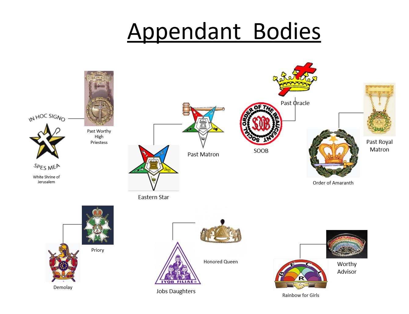 Masonic Body Chart Update R Yorkrite Masonic Body Chart Update R Yorkrite