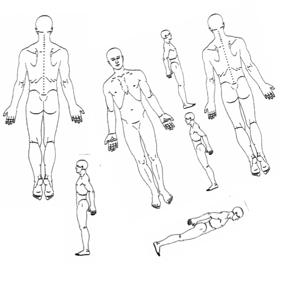 Practice Master Pro Massage Therapy Software