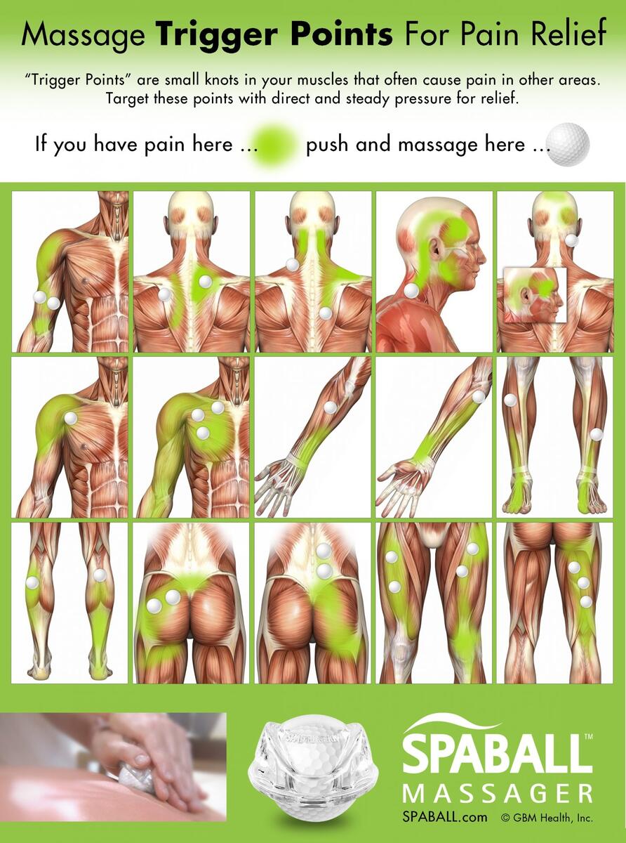 Massage Trigger Points For Pain Relief Spaball Massager Massage Trigger Points For Pain Relief Spaball Massager