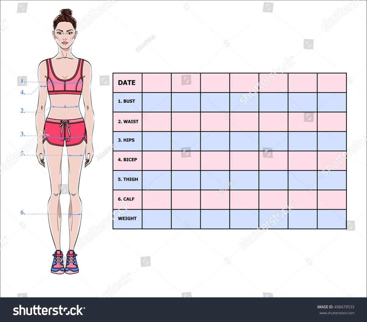 Measurement Chart Body Parameters Sport Diet Stock Vector Royalty Free 498479533 Shutterstock Measurement Chart Body Parameters Sport Diet Stock Vector Royalty Free 498479533 Shutterstock