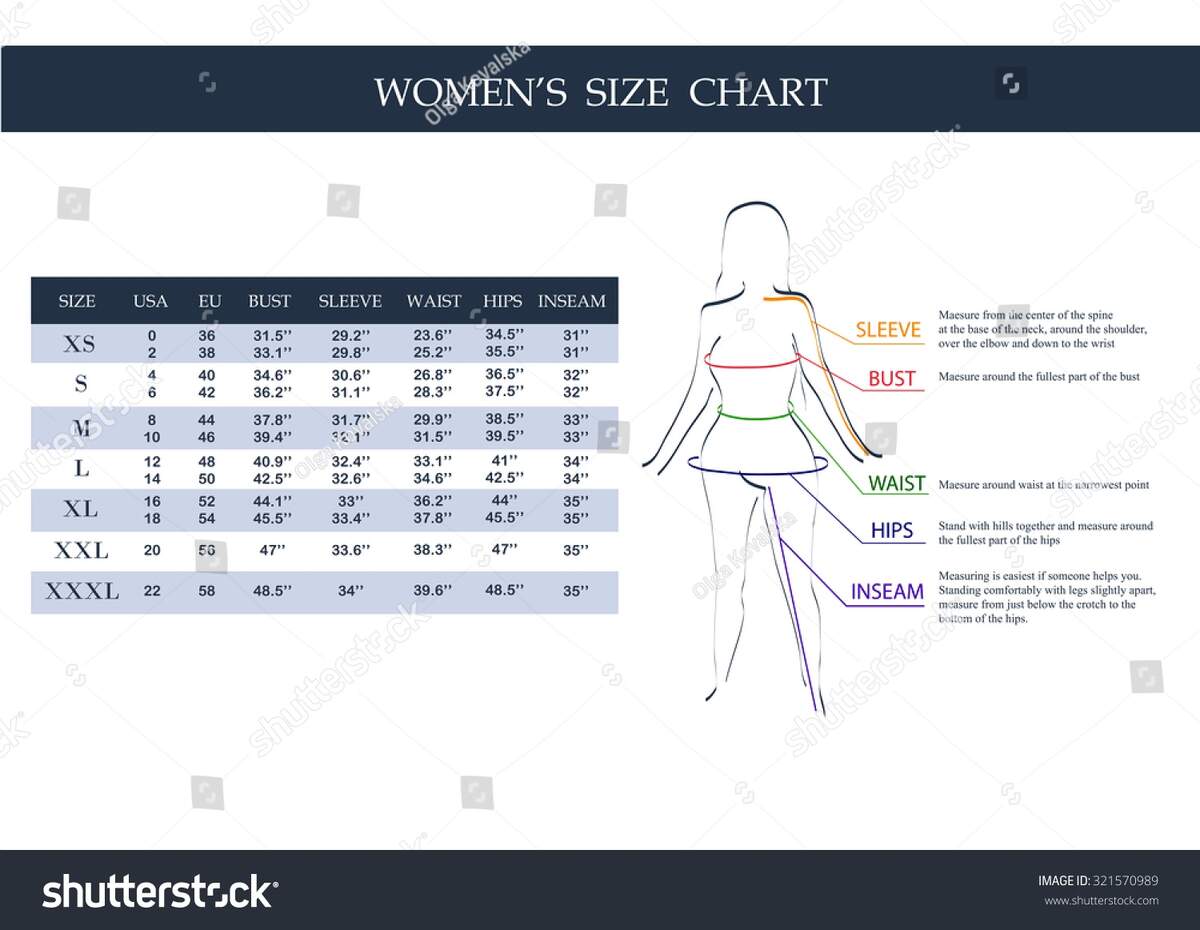 Measurement Size Chart For Women 039 S Clothing Size Chart Women Measurements Clothing Female Stock Vector Measurement Size Chart For Women 039 S Clothing Size Chart Women Measurements Clothing Female Stock Vector