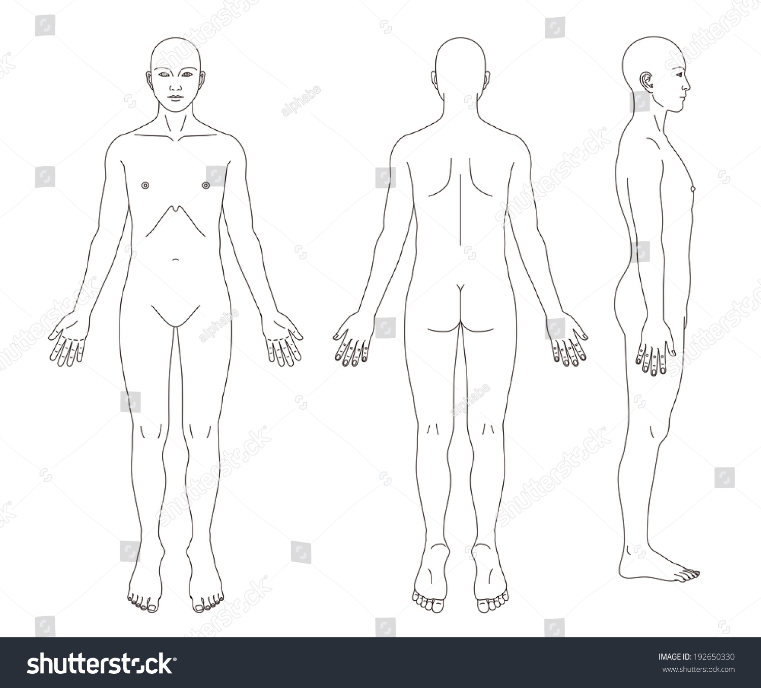Medical Record Human Body Diagram No Stock Illustration 192650330 Shutterstock