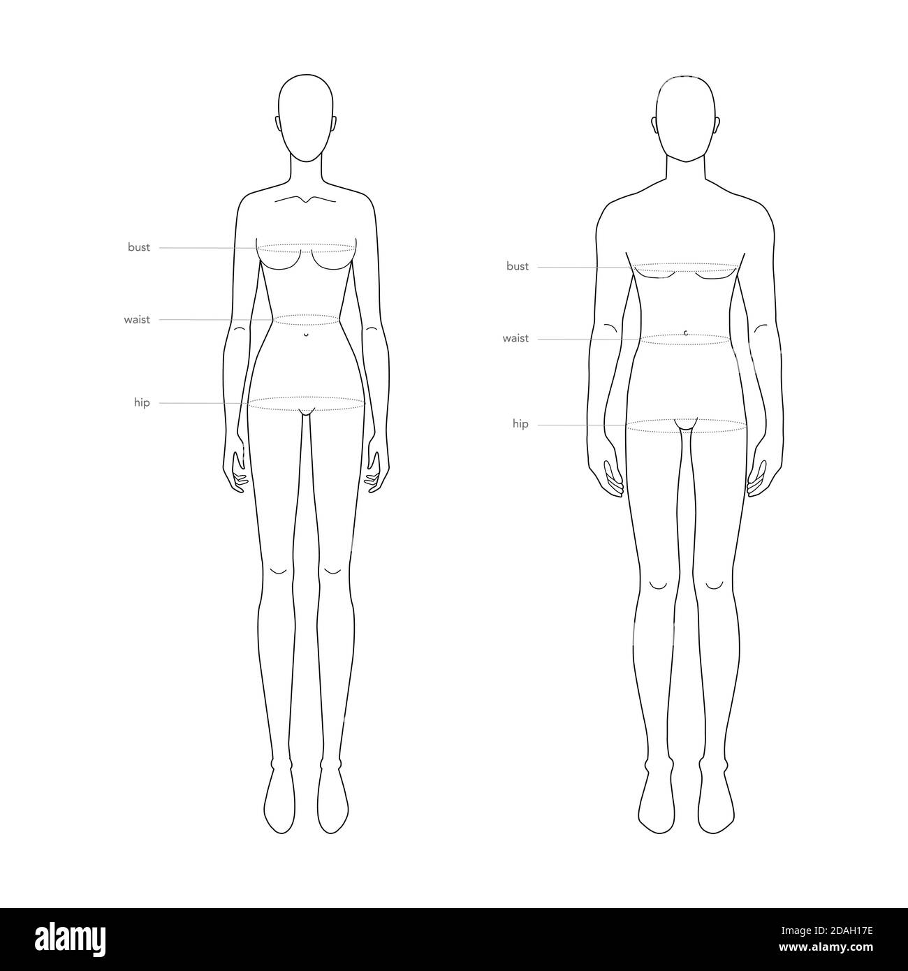 Men And Women Standard Body Parts Terminology Measurements Illustration For Clothes And Accessories Production Fashion 9 Head Male And Female Size Chart Human Body Infographic Template Stock Vector Image Art Alamy