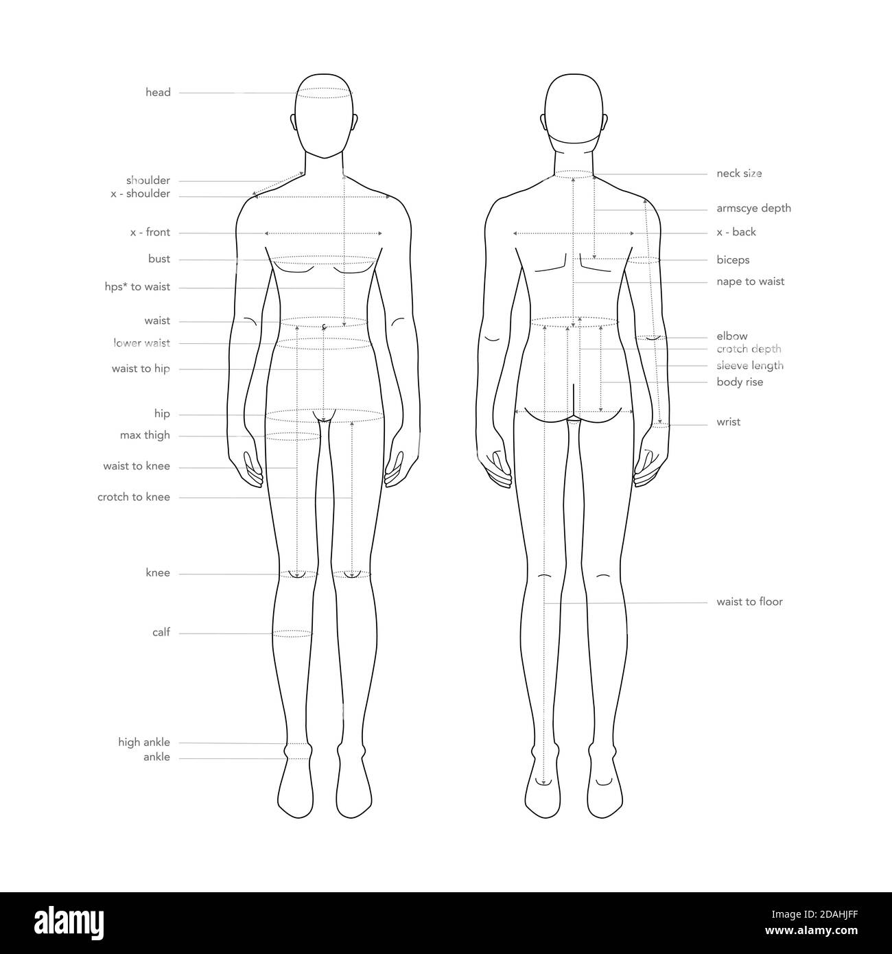 Men Body Parts Terminology Measurements Illustration For Clothes And Accessories Production Fashion Male Size Chart 9 Head Boy For Site And Online Shop Human Body Infographic Template Stock Vector Image Art