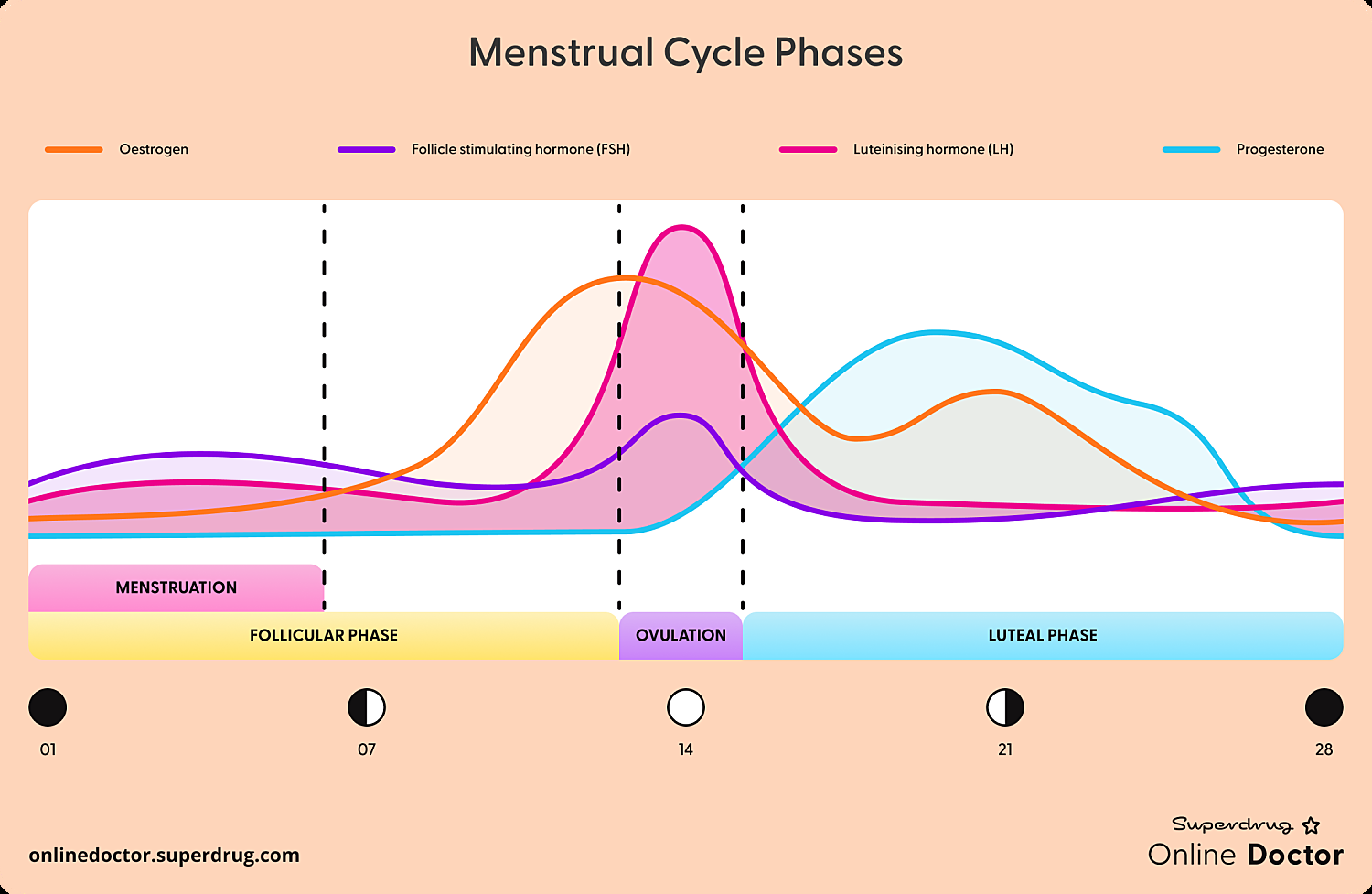 Menstrual Cycle Phases Explained Timeline Hormones Symptoms Superdrug Online Doctor