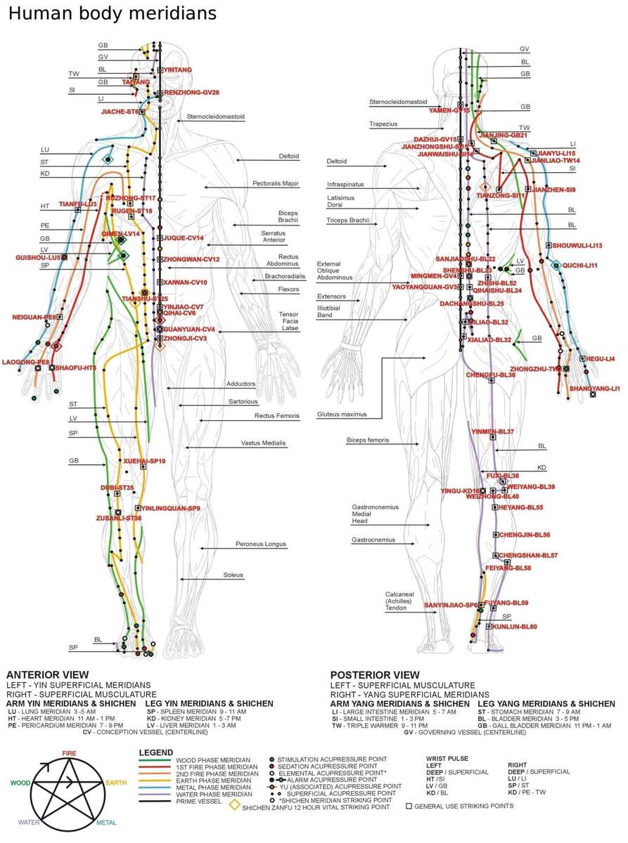 Meridian Chinese Medicine Wikipedia Meridian Chinese Medicine Wikipedia