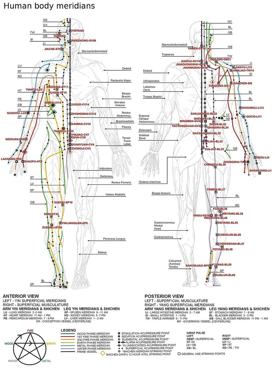 Meridian Chinese Medicine Wikipedia