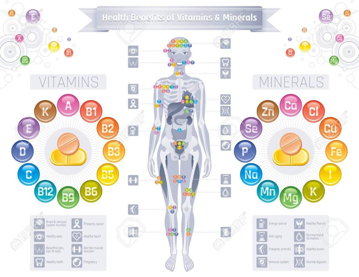 Mineral Vitamin Supplement Icons Health Benefit Flat Vector Icon Set Text Letter Logo Isolated White Background Table Illustration Medicine Healthcare Chart Diet Balance Medical Infographic Diagram Royalty Free SVG Cliparts Vectors And