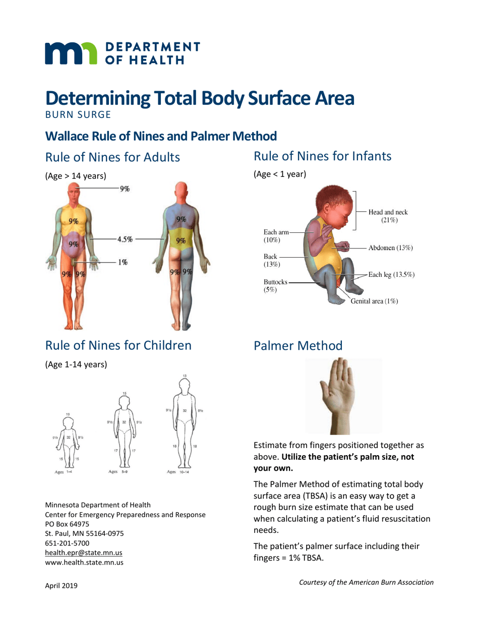 Minnesota Body Surface Area Chart Determining Total Body Surface Area Fill Out Sign Online And Download PDF Templateroller