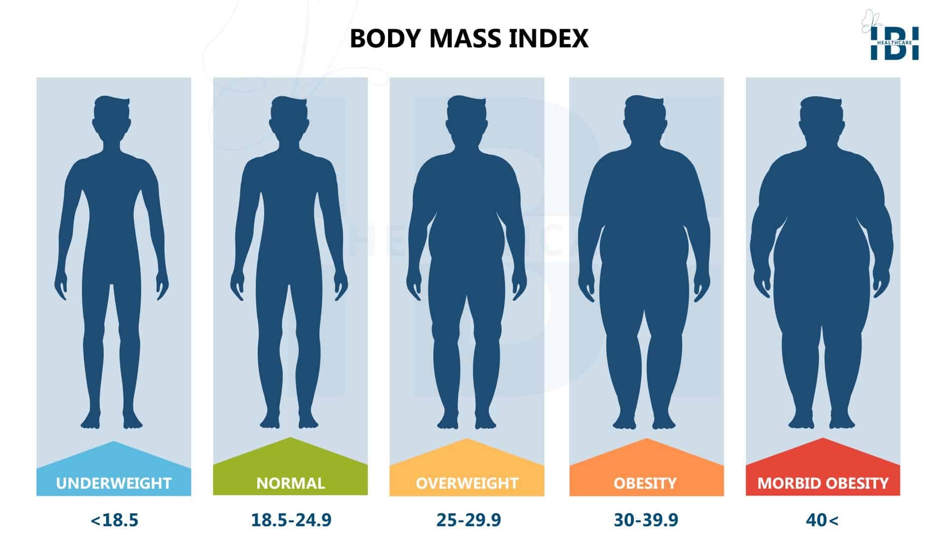 Morbid Obesity What BMI Really Reveals Morbid Obesity What BMI Really Reveals
