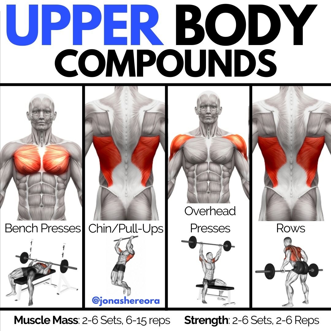 Muscle Chart Body Parts Name Gym Muscle Diagram All Body Parts Name In Gym Workout Muscles Muscle Chart Body Parts Name Gym Muscle Diagram All Body Parts Name In Gym Workout Muscles