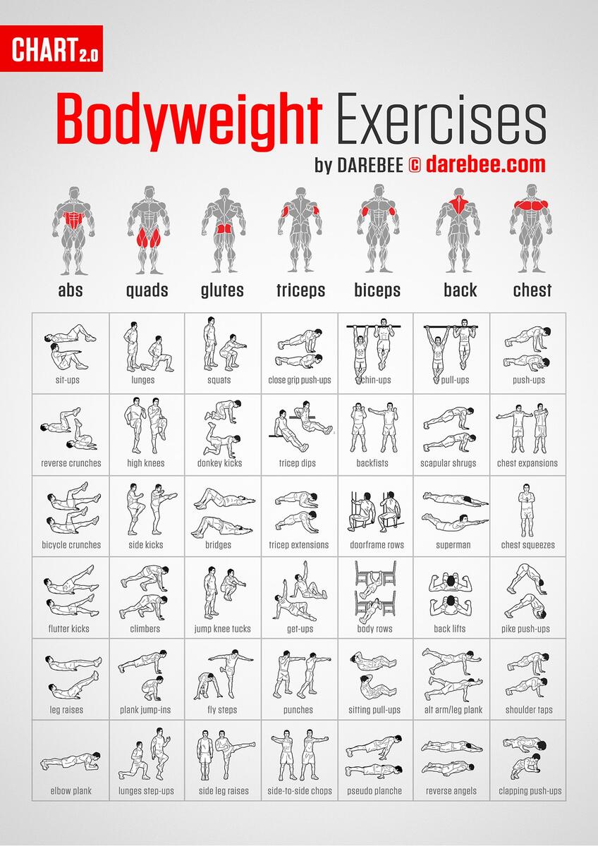 Muscle Map