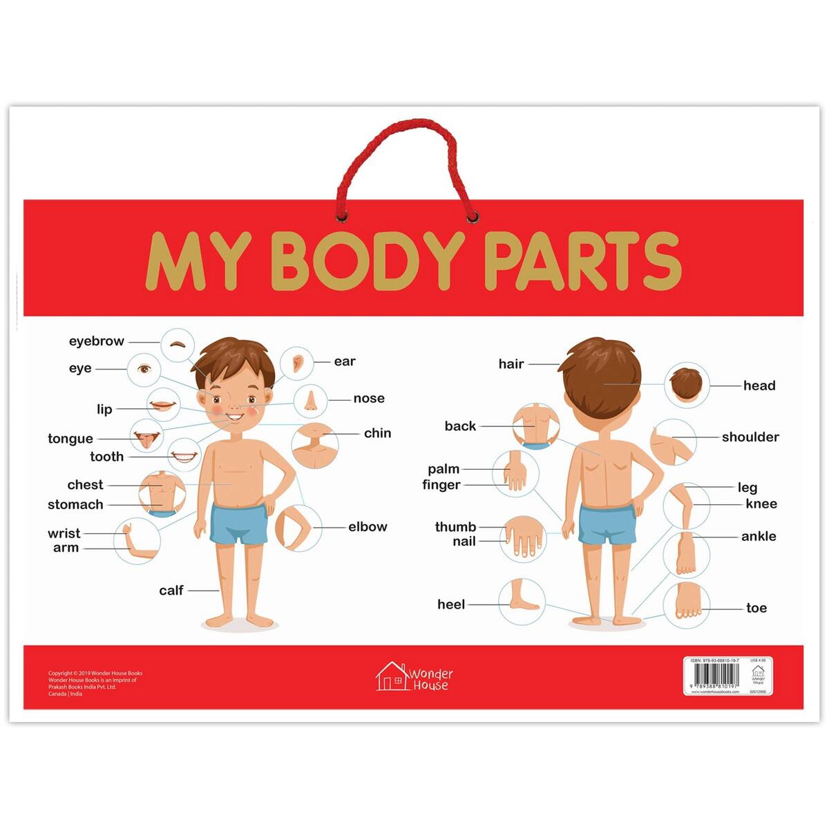 My Body Parts Early Learning Educational Posters For Children Perfect For Kindergarten Nursery And Homeschooling 19 Inches X 29 Inches Walmart