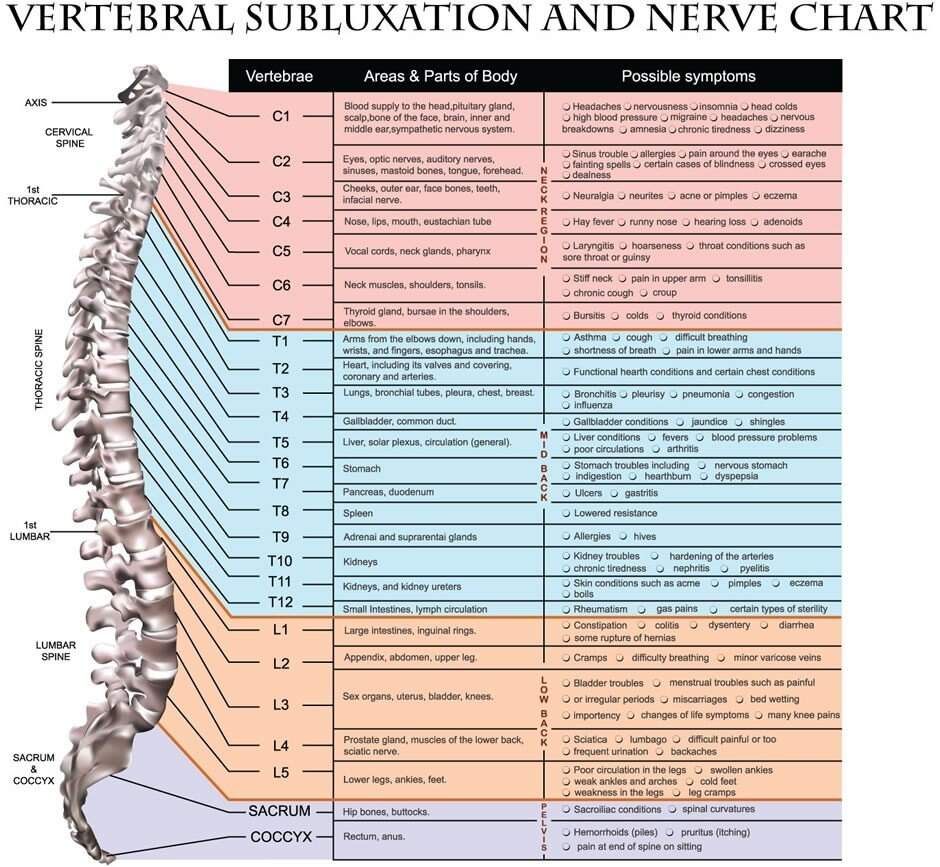 Postural Imbalance And Vertebral Subluxation Poster