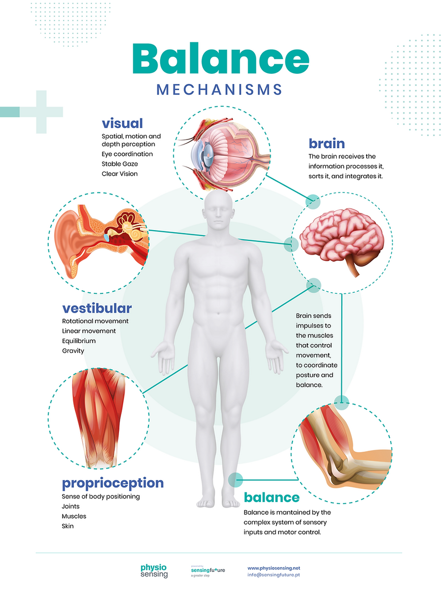 Neurologic Disorders Assessment And Treatment Of Balance