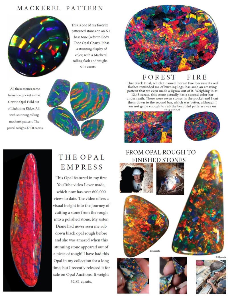 NEW Opal Passion Book Body Tone Guide 2 For 22 FREE Shipping