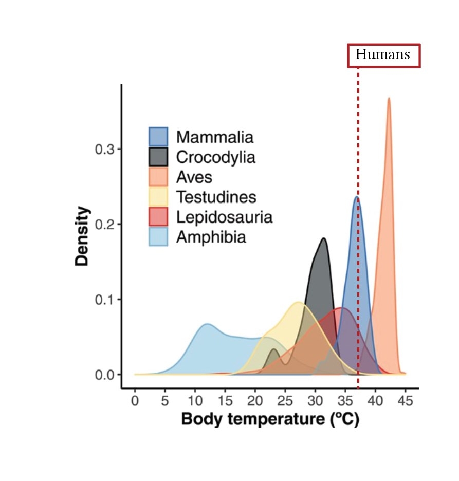 Normal Temperature Thermoneutral Zone And Inter Threshold Range Deranged Physiology
