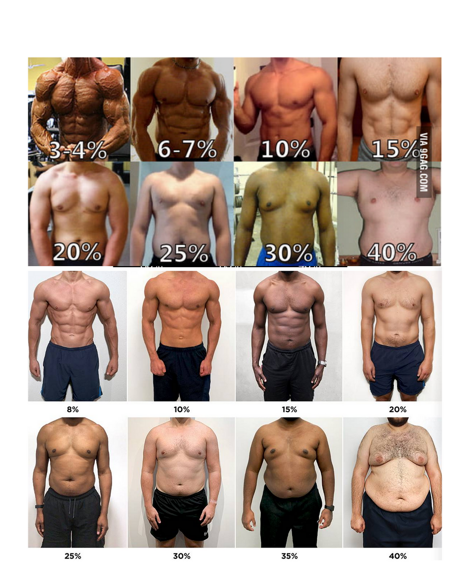 Not Meme But Was Looking At Diferant Visual Charts And No Two Completly In Agreement Prolly Due To Body Types But Hmm R GymMemes