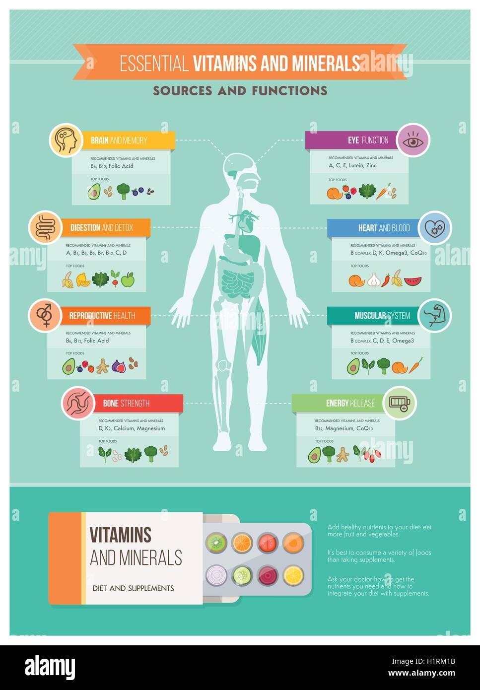 Nutrition Vitamins And Health Infographics Human Body Organs Vitamins Benefits And Food Sources Infographic Stock Vector Image Art Alamy