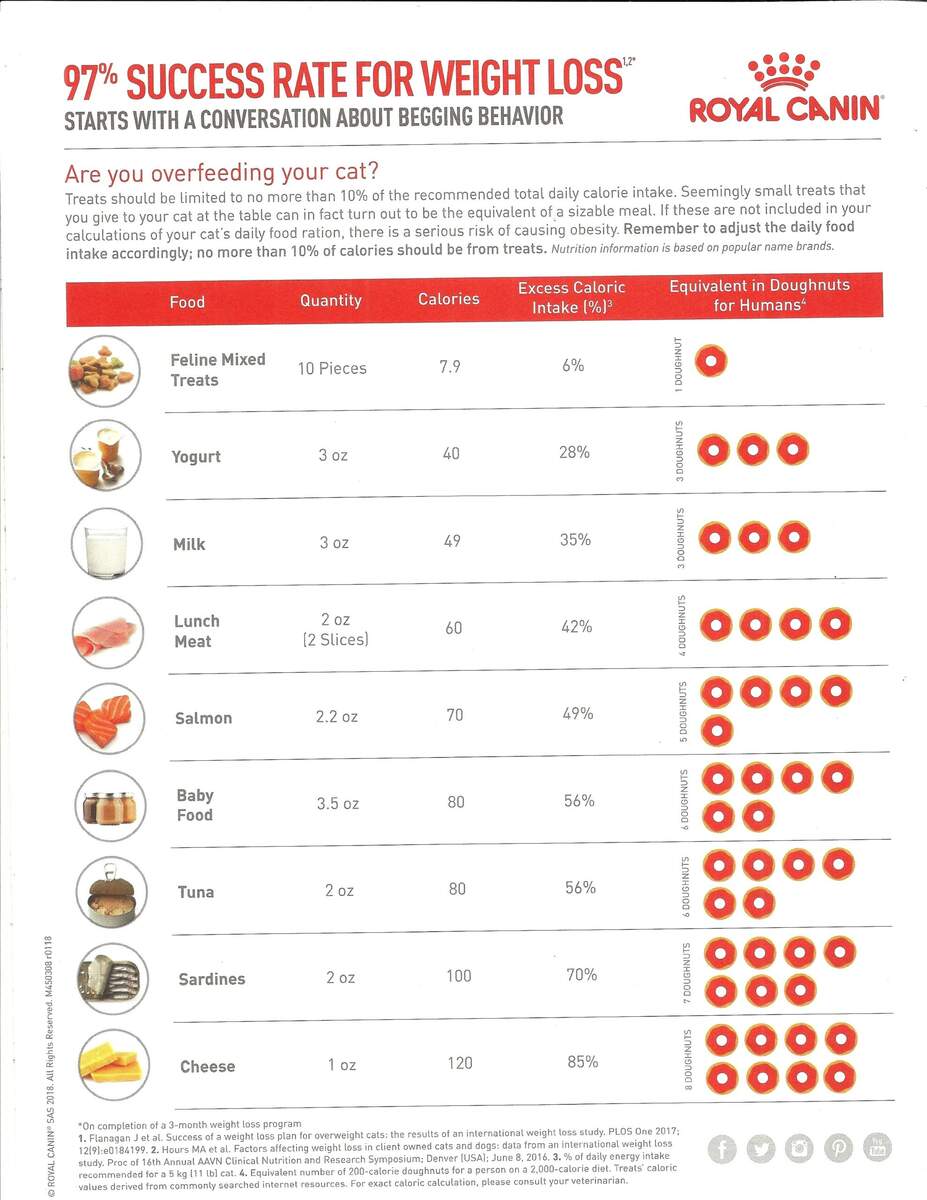 Obesity And Arthritis On The Rise Is There A Connection Winterset Veterinary Center