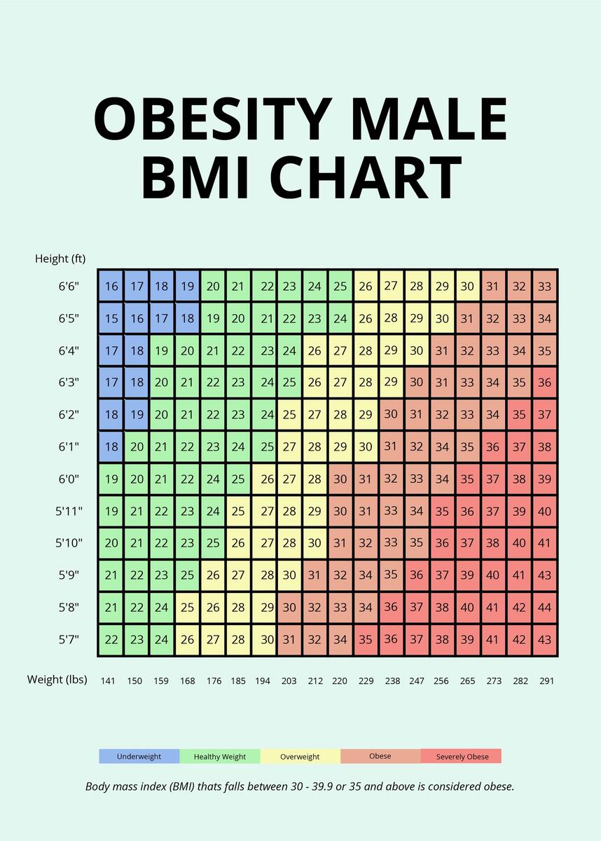 Obesity Male BMI Chart In PSD Illustrator Word PDF Download Template Obesity Male BMI Chart In PSD Illustrator Word PDF Download Template