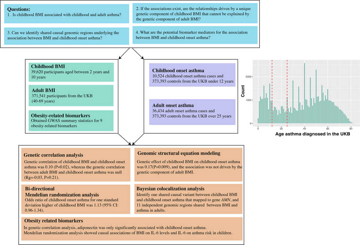 Obesity Related Biomarkers Underlie A Shared Genetic Architecture Between Childhood Body Mass Index And Childhood Asthma Communications Biology