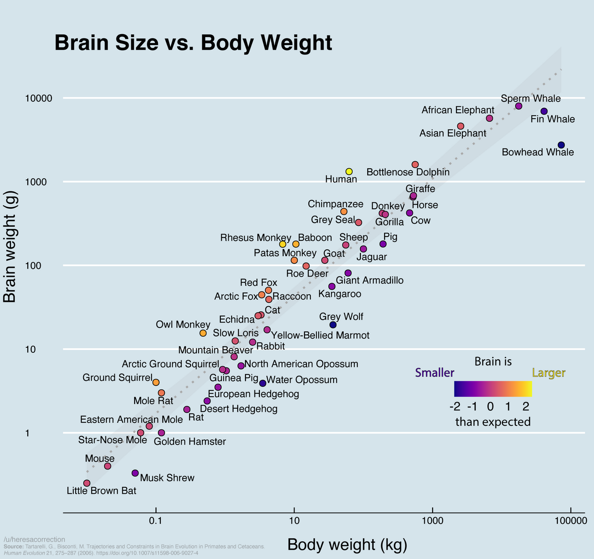 OC Brain Size Vs Body Weight Of Various Animals Humans Are An Outlier R Dataisbeautiful OC Brain Size Vs Body Weight Of Various Animals Humans Are An Outlier R Dataisbeautiful