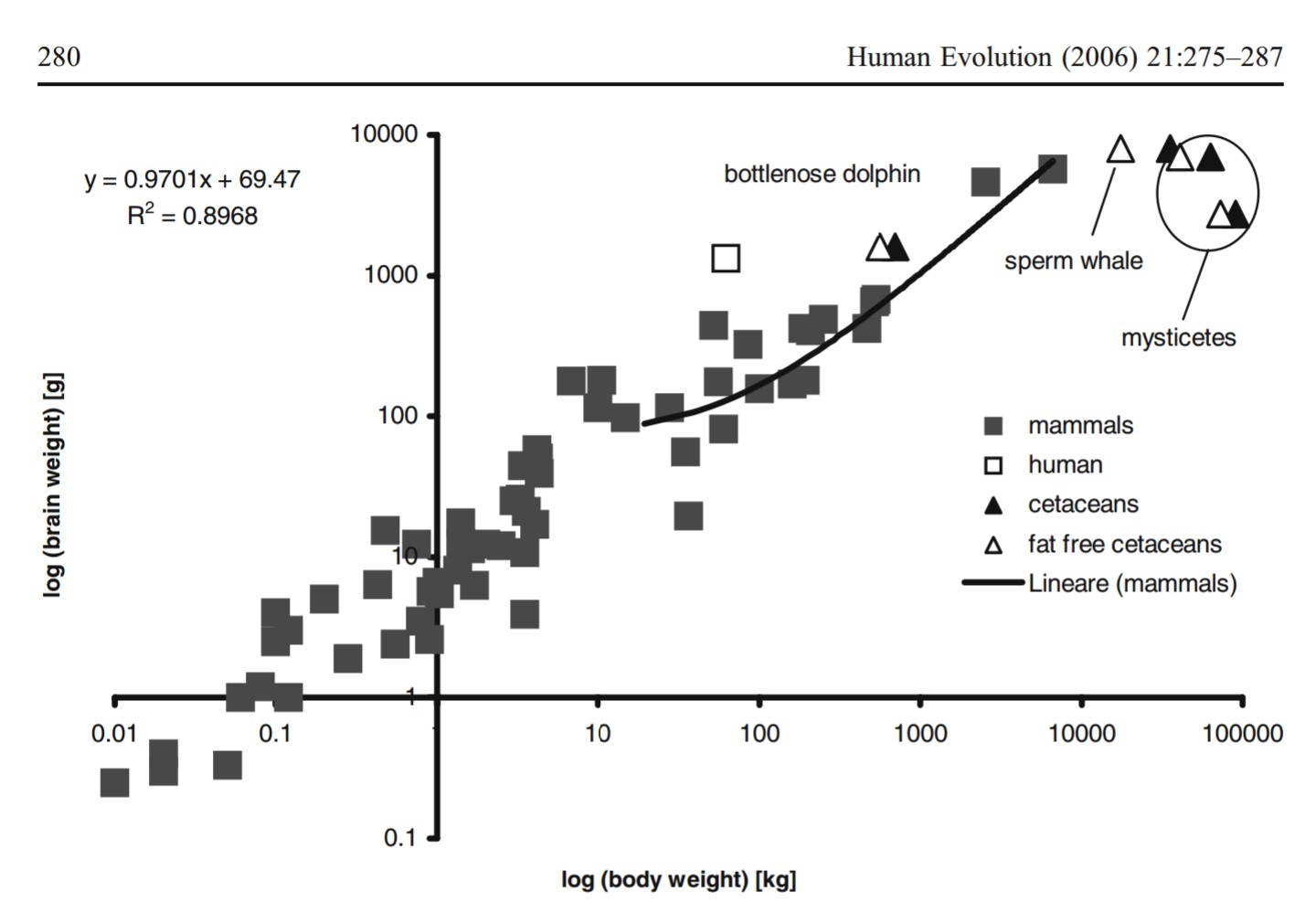 Breakdown Of Brain Body Allometry And The Encephalization Of Birds And Mammals Nature Ecology Evolution