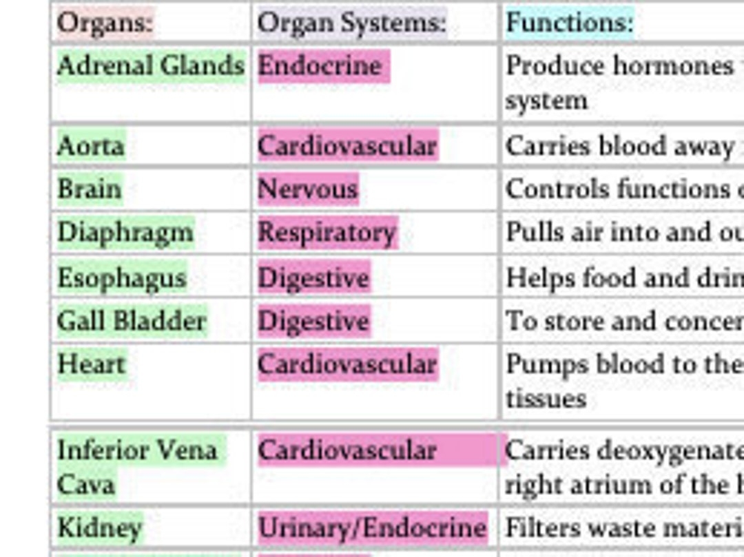 Organs Organ Systems Functions Chart Anatomy And Physiology Etsy