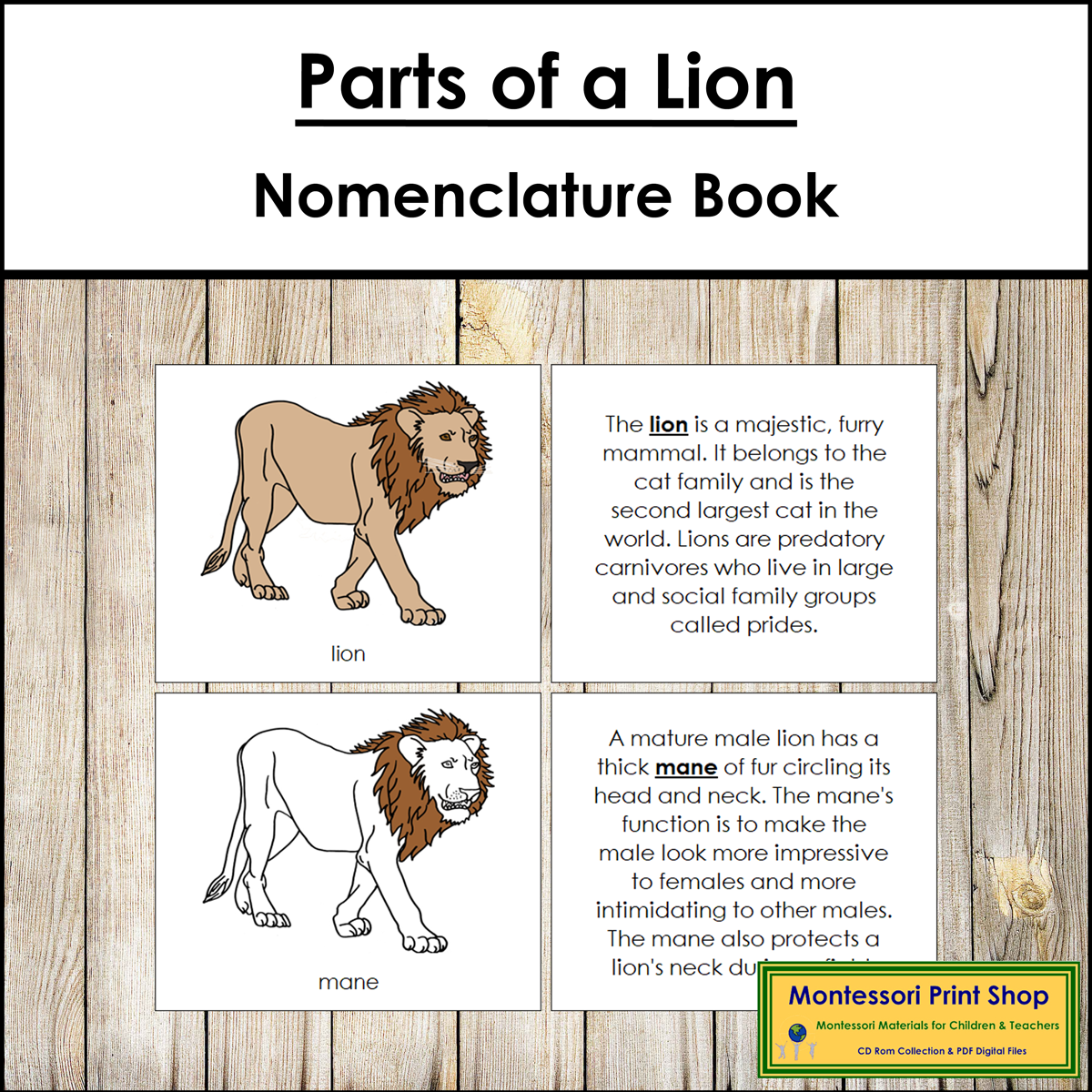 Parts Of A Lion Book Montessori Nomenclature Made By Teachers