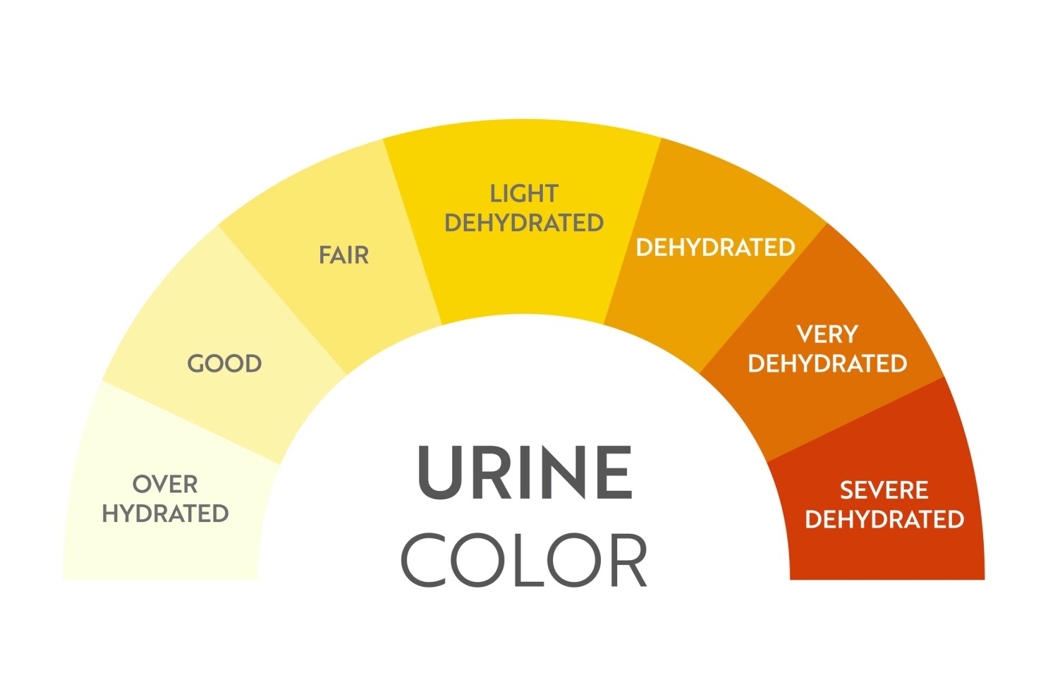 Pee Color Chart Assessing Hydration Levels For Emergency Responders Pee Color Chart Assessing Hydration Levels For Emergency Responders