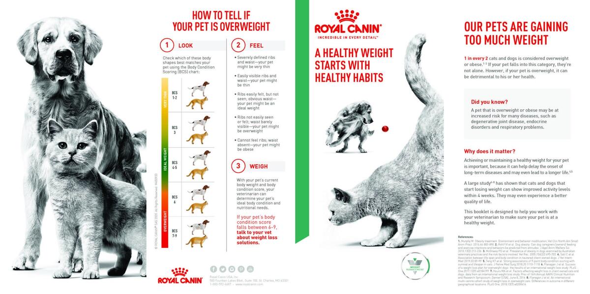 Pet Obesity Family Pet Health