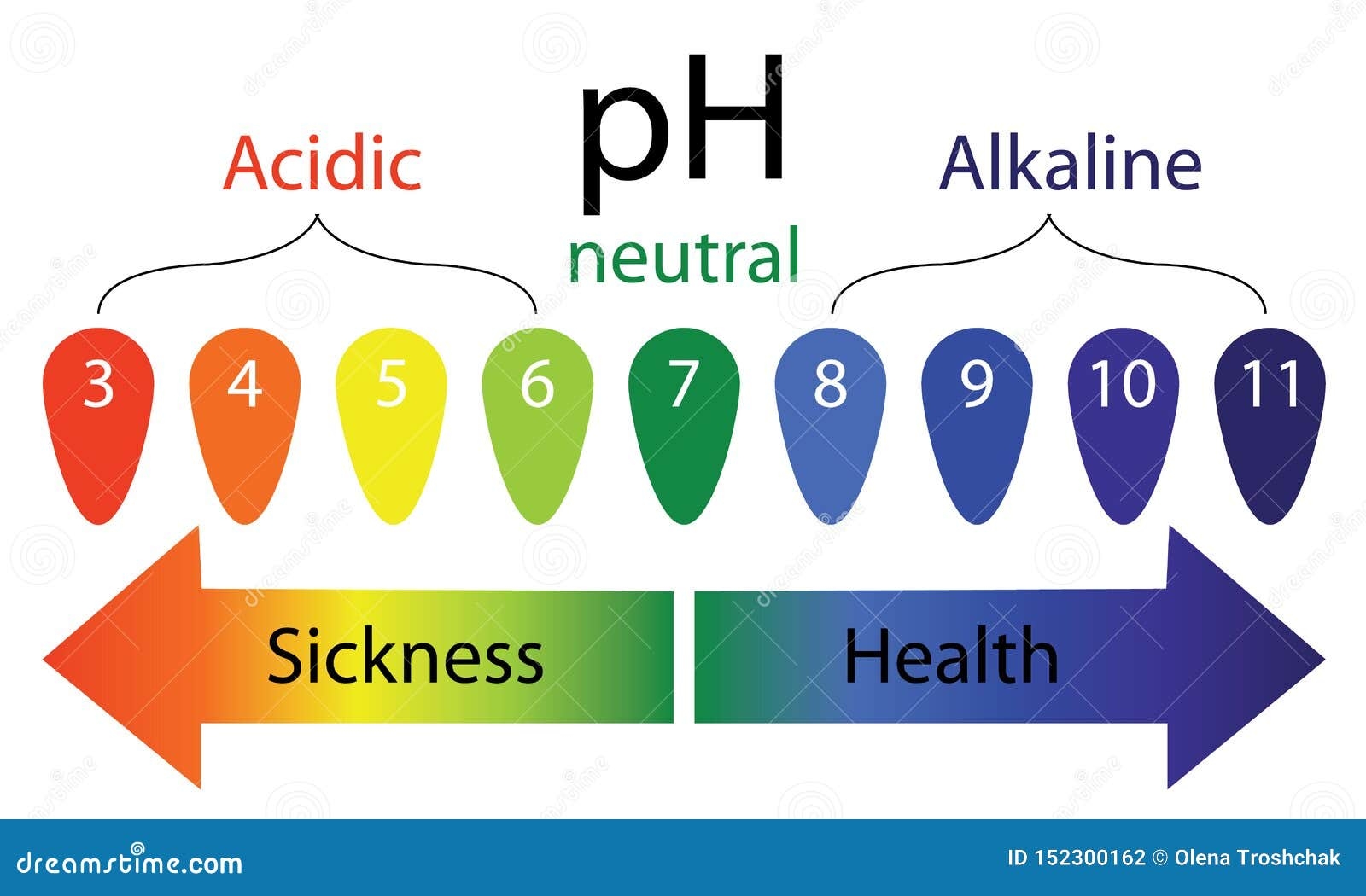 PH Level Scale Showing Sickness And Health In Human Body Stock Vector Illustration Of Body Infographics 152300162