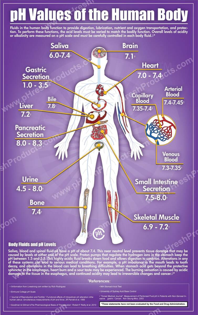 Ph Values Of The Human Body Medical Education Human Anatomy And Physiology Health Science