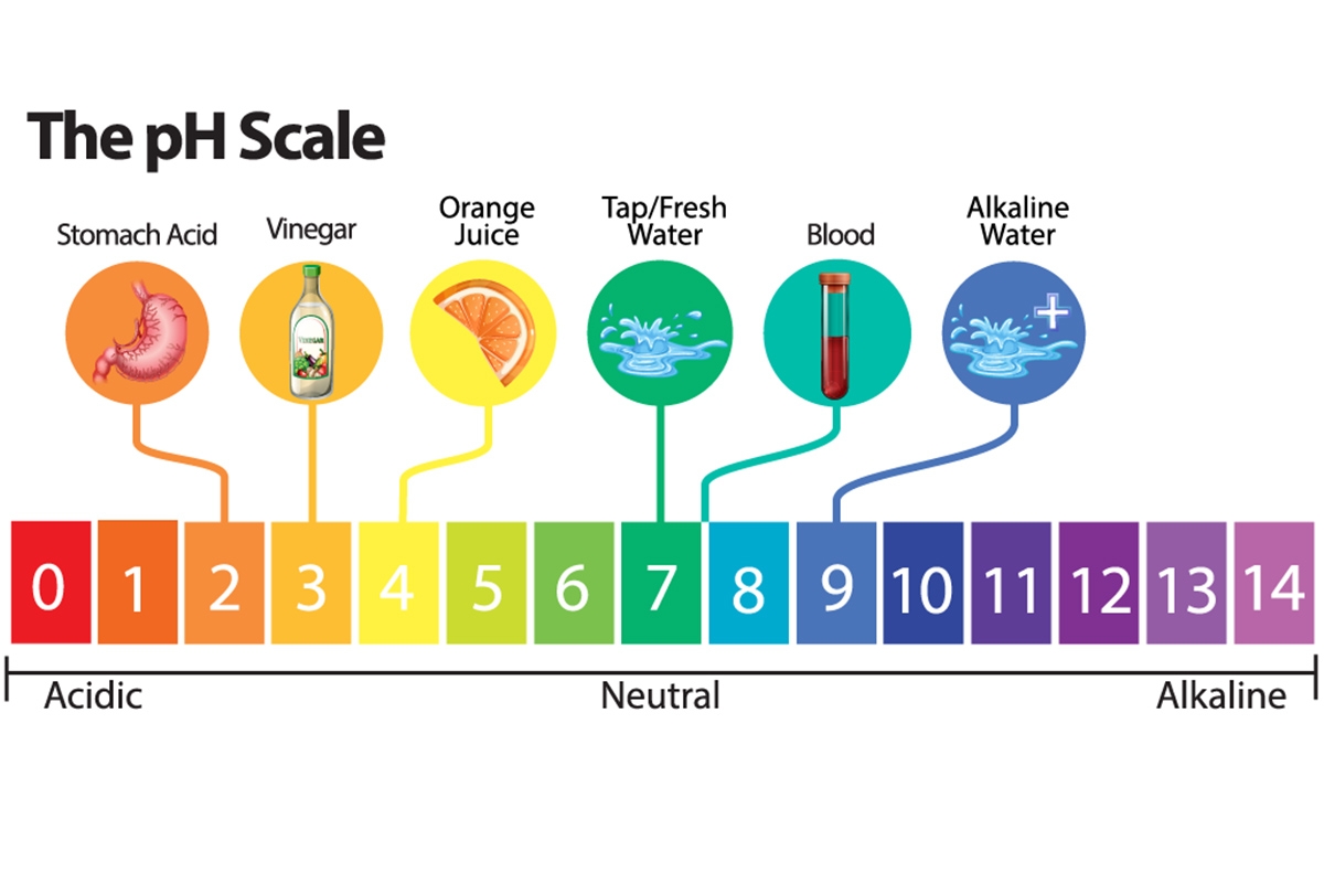 PH Wars Acidic Vs Alkaline Beverages City Sports Club PH Wars Acidic Vs Alkaline Beverages City Sports Club