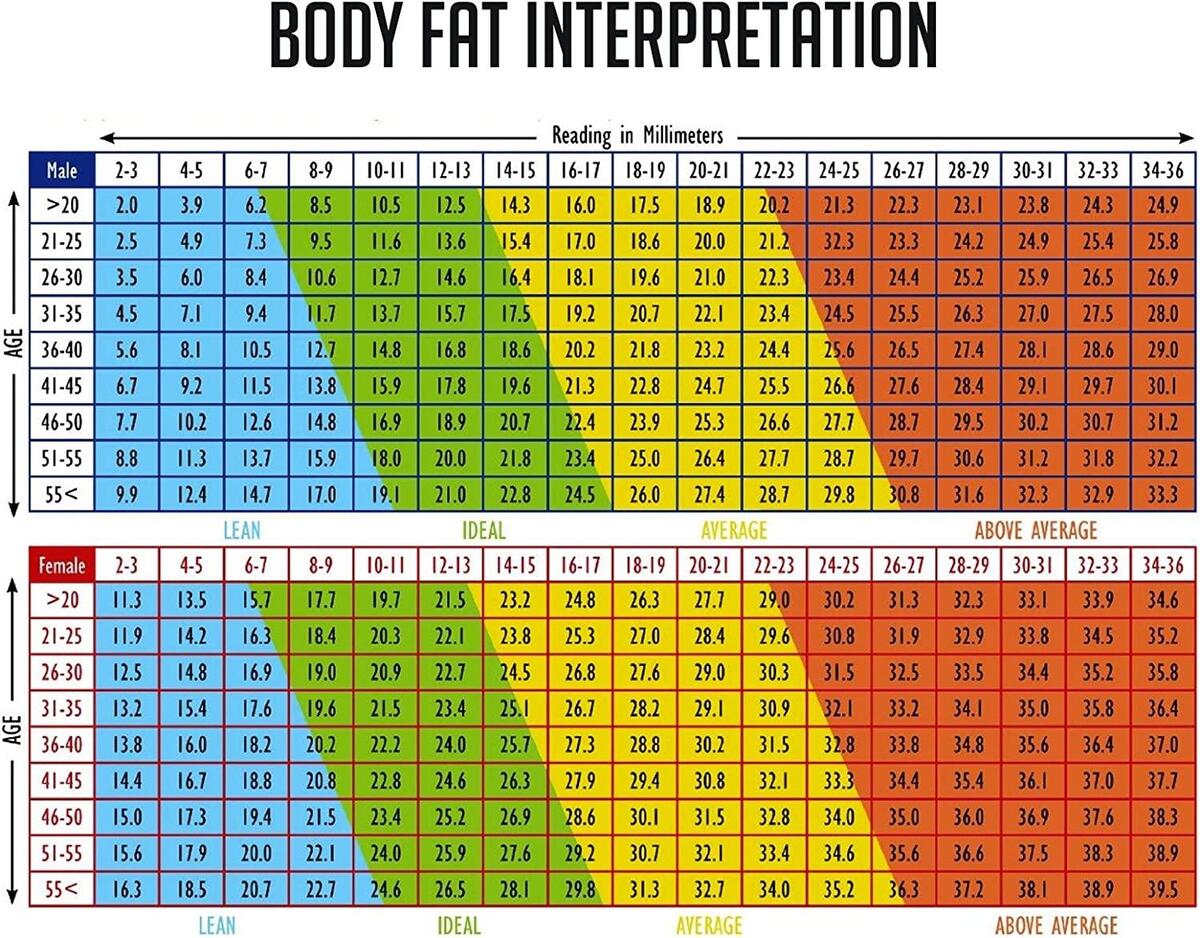 Portable Skin Fat Caliper Tester With LCD Screen Athletes Body Fat Monitoring Kit For Men And Women Buy Now With Express International Delivery GoSupps