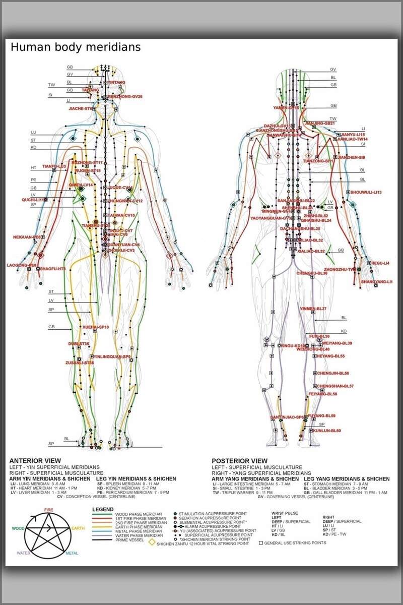 Poster Many Sizes Chinese Or Human Body Meridians For Martial Arts Medicine EBay